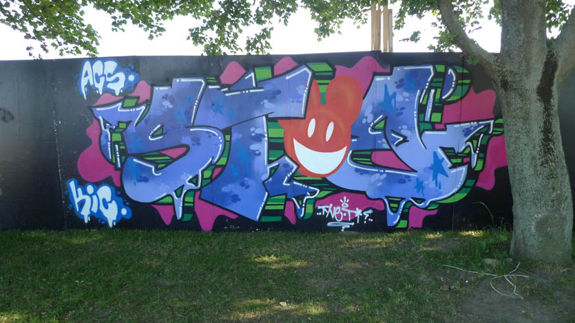 P1010251